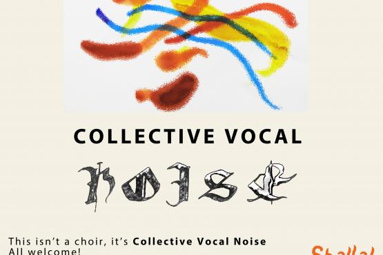 lines of colour on cream background with Collective Vocal Noise 
