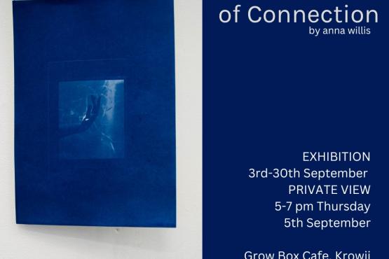 'The Fragility of Connection'  two dark blues stripes with white writing