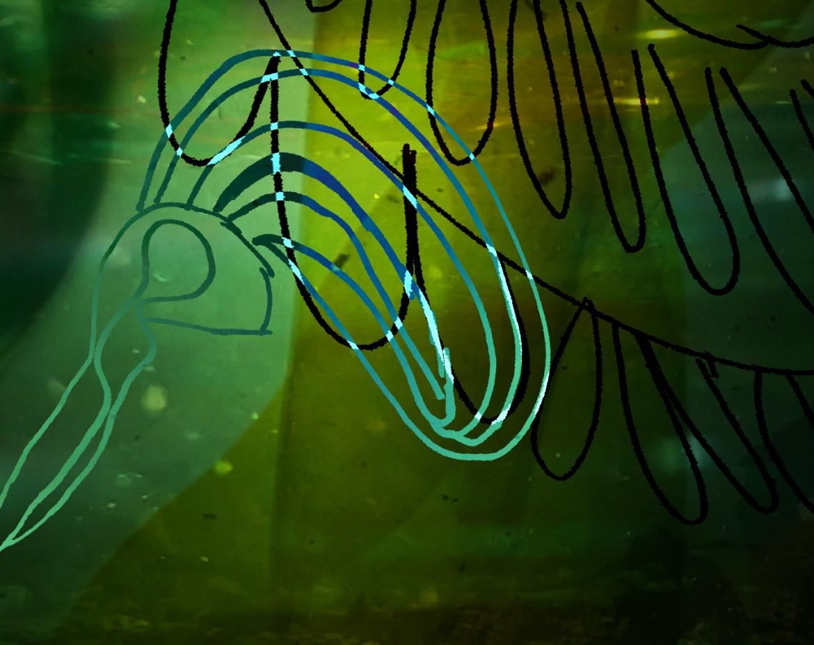 Still image from an animation. Undersea creatures move in and out of the darkness deep under water.