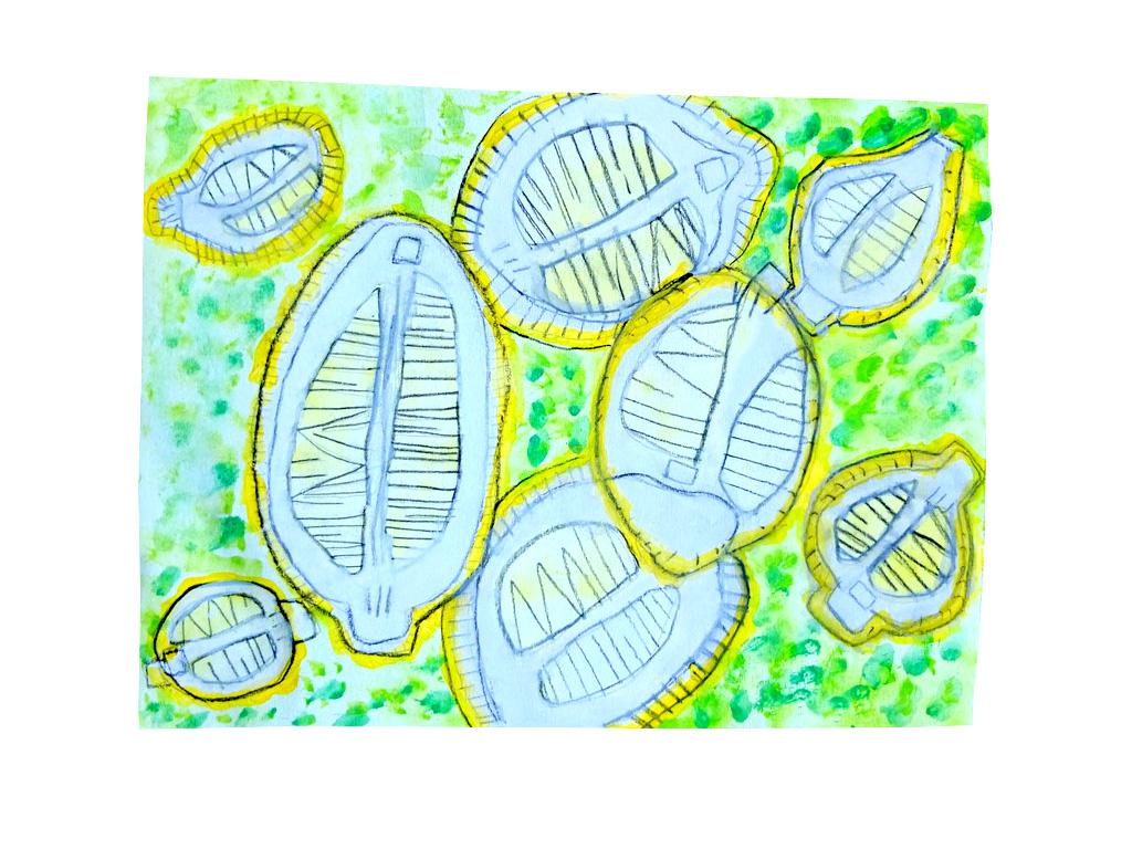 Lemon Pattern