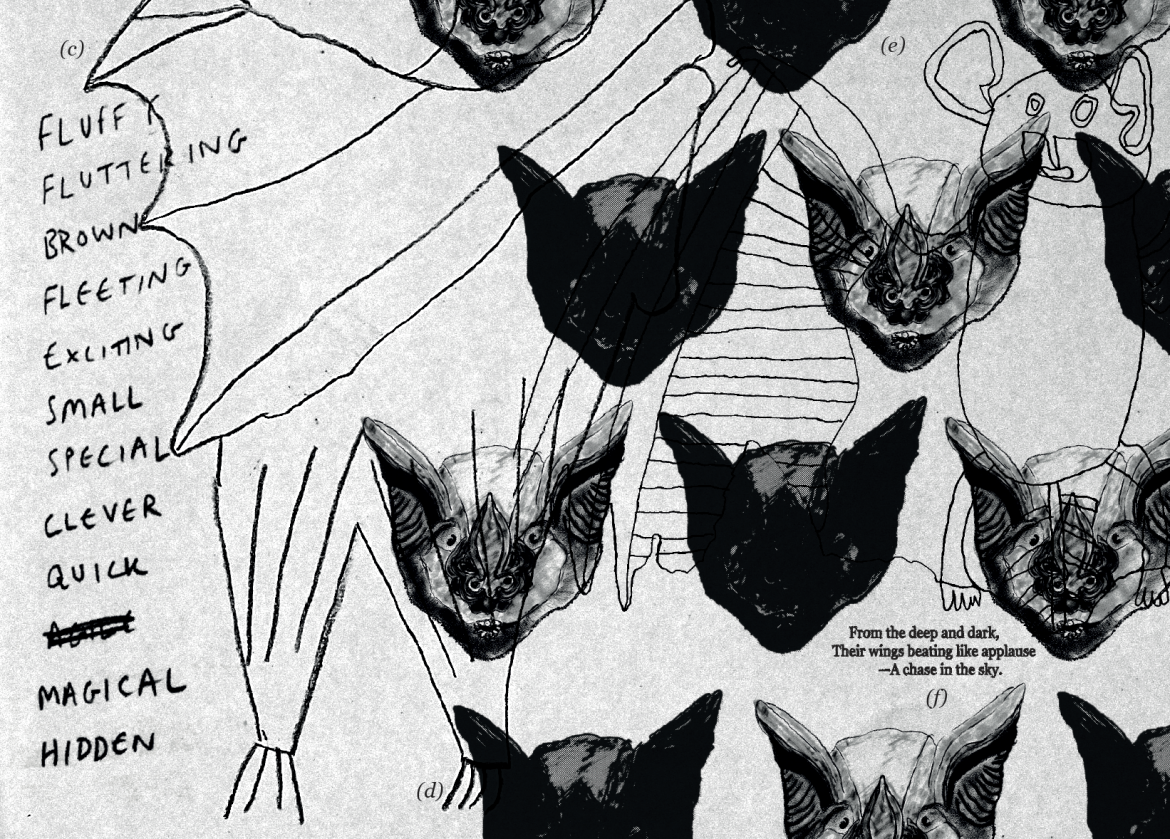 drawings of bat faces with a bat poem