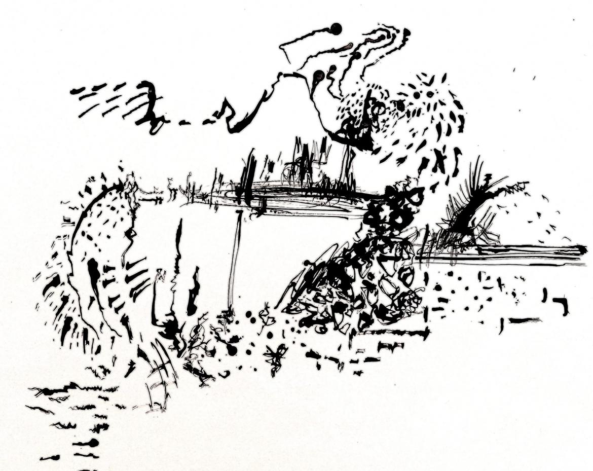 a black and white abstract ink drawing