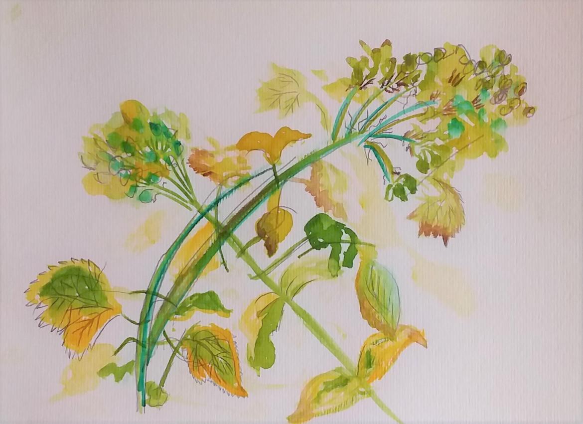 painting of leaves and stems in different greens on a white background