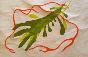 Seaweed screen print in orange and green