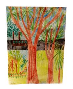 A coloured drawing of trees 