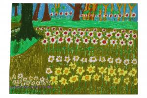 A carpet of evenly spaced daffodils below the trunks of big trees. There are more trees and flowers beyond.