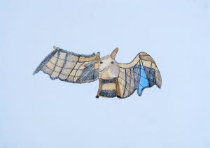 pencil drawing of a bat