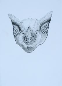 charcoal drawing of a bat face