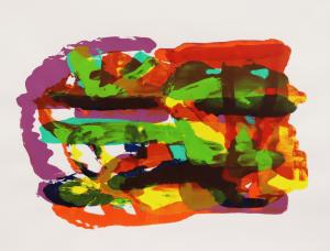 colourful screen print