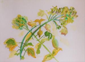 painting of leaves and stems in different greens on a white background