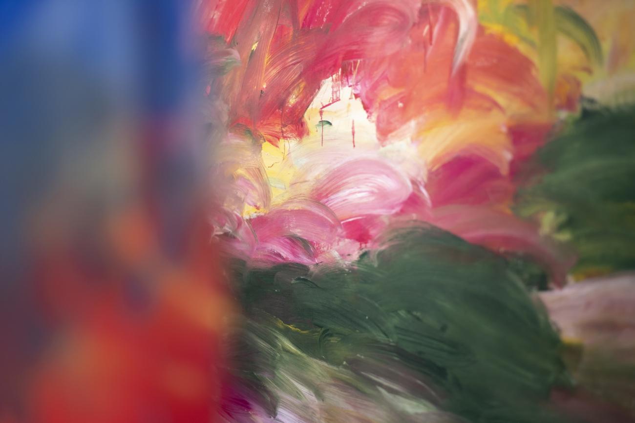 colourful abstract paintings hanging in gallery 