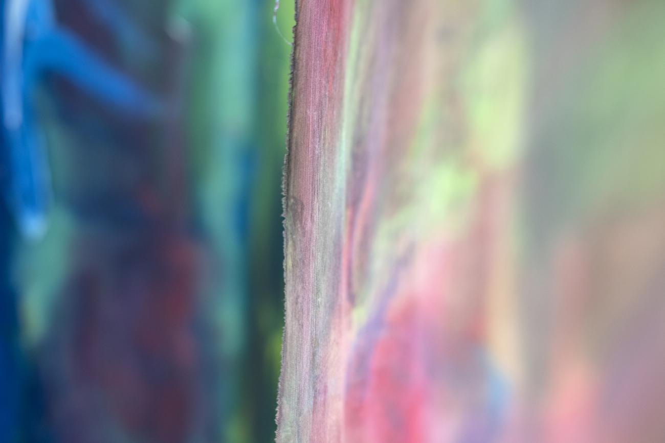 colourful abstract paintings hanging in gallery 