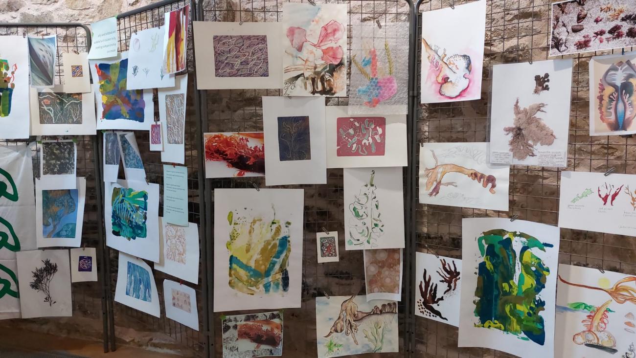 lots of drawings and screen prints hung on a wall at an exhibition